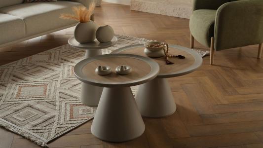 Τραπεζάκι σαλονιού Borneo