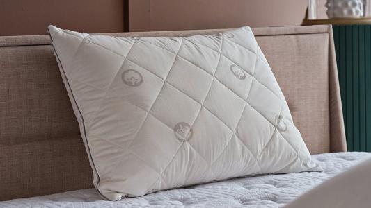 Μαξιλάρι Festival Cotton